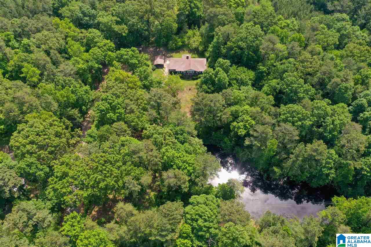 1800 Chenoor Road Birmingham, AL 35217 - Photo 7 of 36