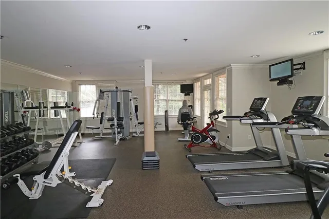 a view of park with plants and trees