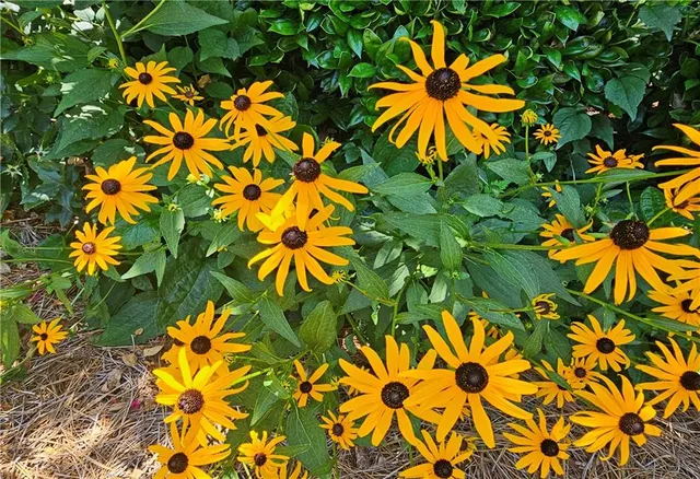 $425,000 | 1735 Peachtree Street Northeast, Unit 216, Atlanta, GA 30309