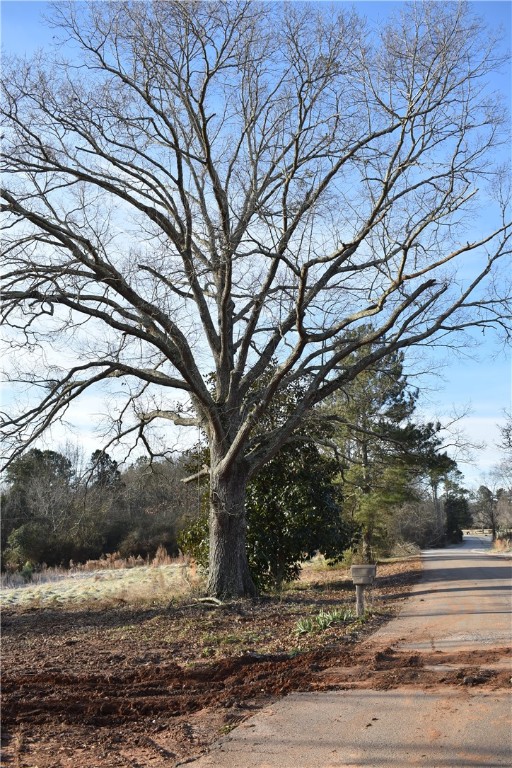 210 Samuel Camp Road Anderson, SC 29624 - Photo 3 of 6