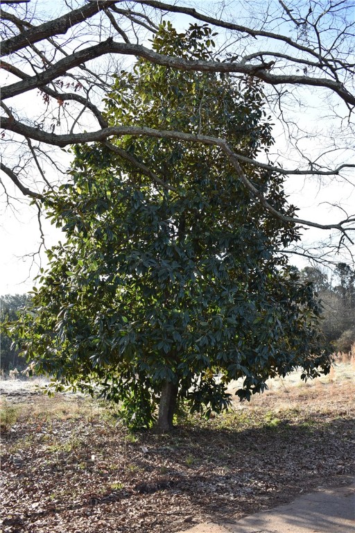 210 Samuel Camp Road Anderson, SC 29624 - Photo 4 of 6