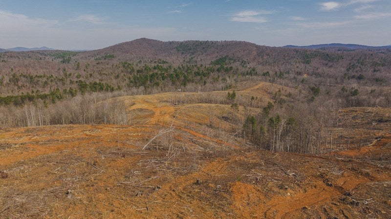Tbd Timber Line Road Ferrum, VA 24088 - Photo 24 of 28 Gallery Image 24