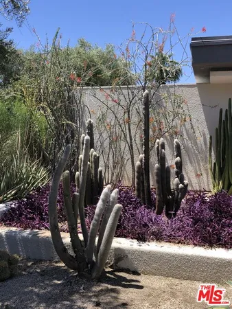 a living room filled with furniture hardwood floor and a rug