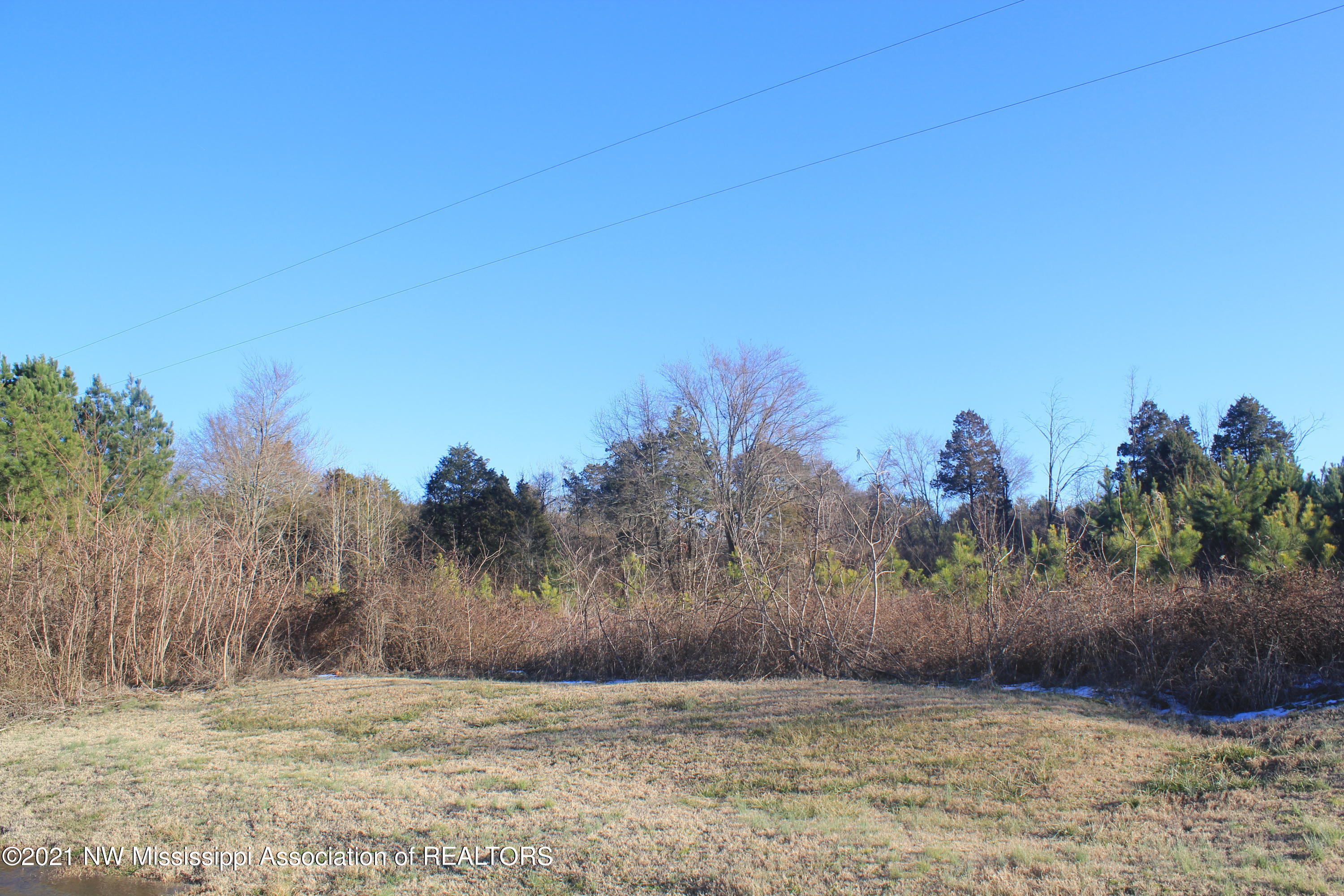 4 Carrington Road Byhalia, MS 38611 - Photo 14 of 17 IMG_5732