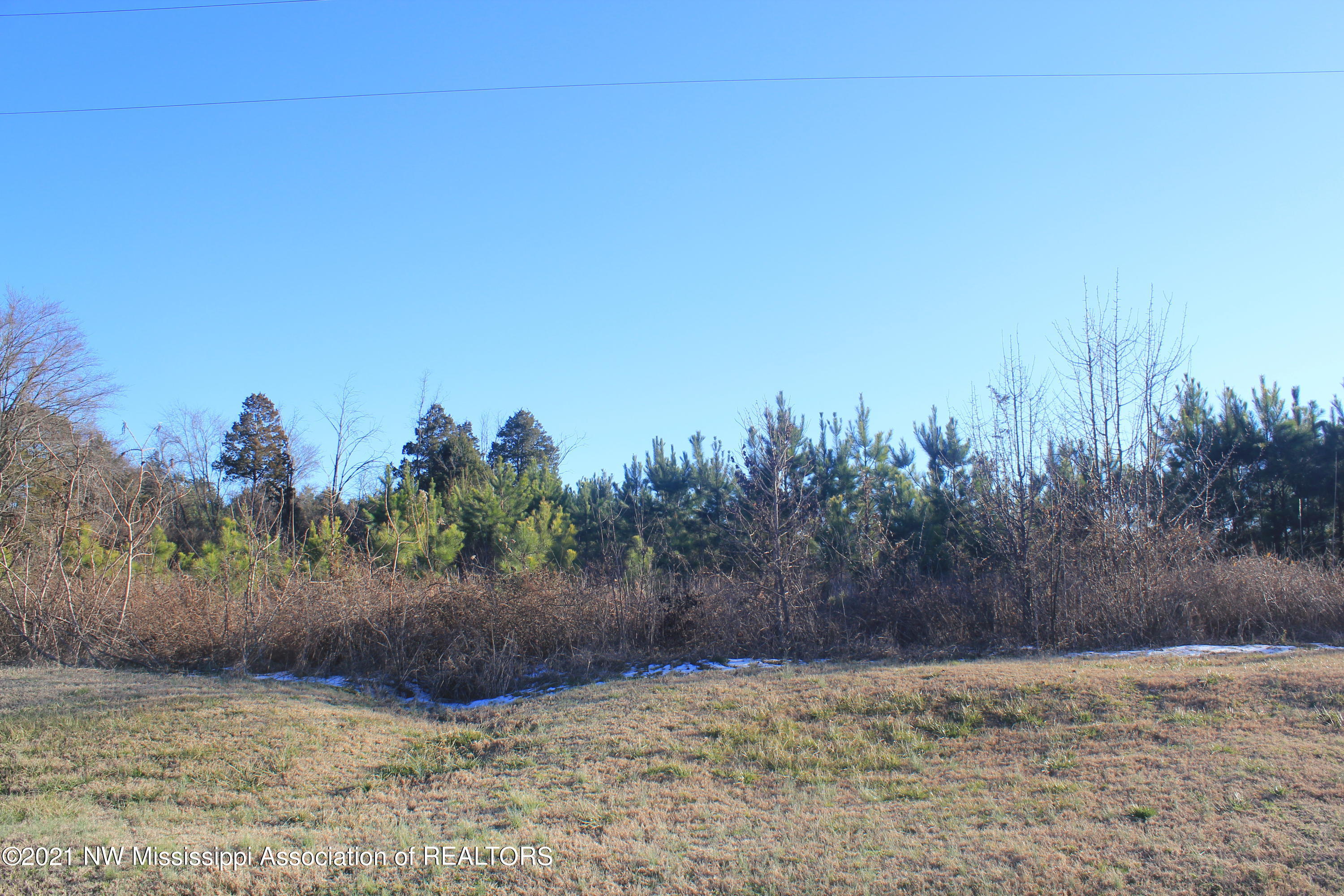 4 Carrington Road Byhalia, MS 38611 - Photo 15 of 17 IMG_5733