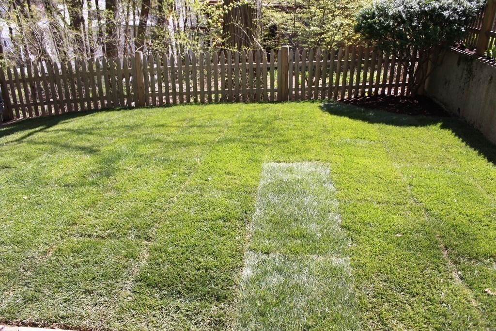 52 Roundwood Road Newton, MA 02464 - Photo 18 of 19 a view of backyard with wooden fence