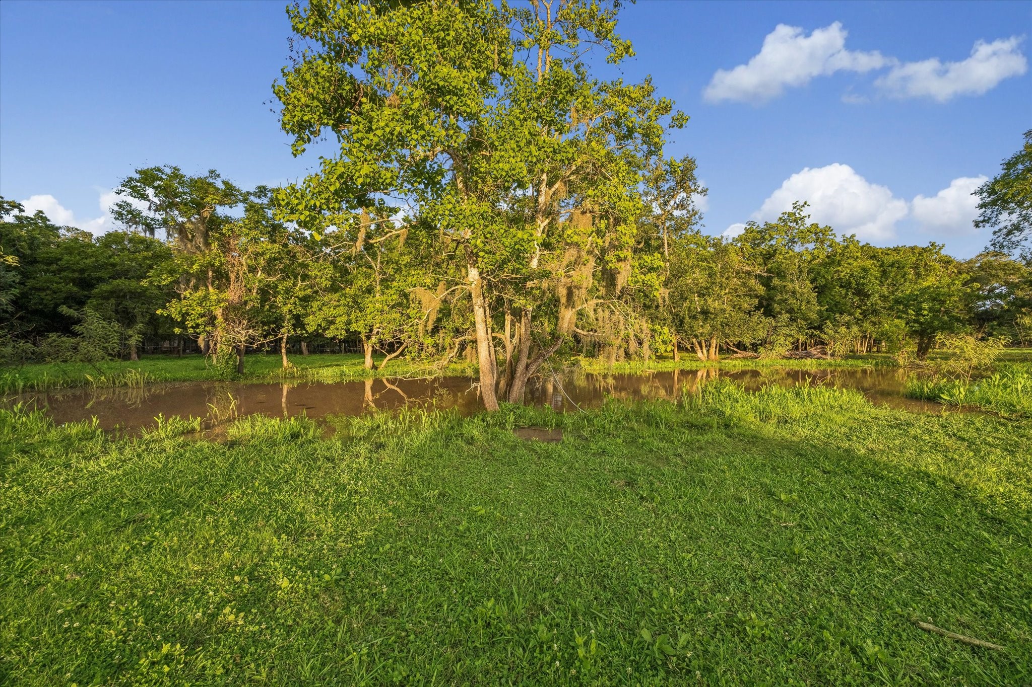 3515 County Road 36 Angleton, TX 77515 - Photo 45 of 50 a view of a lake view