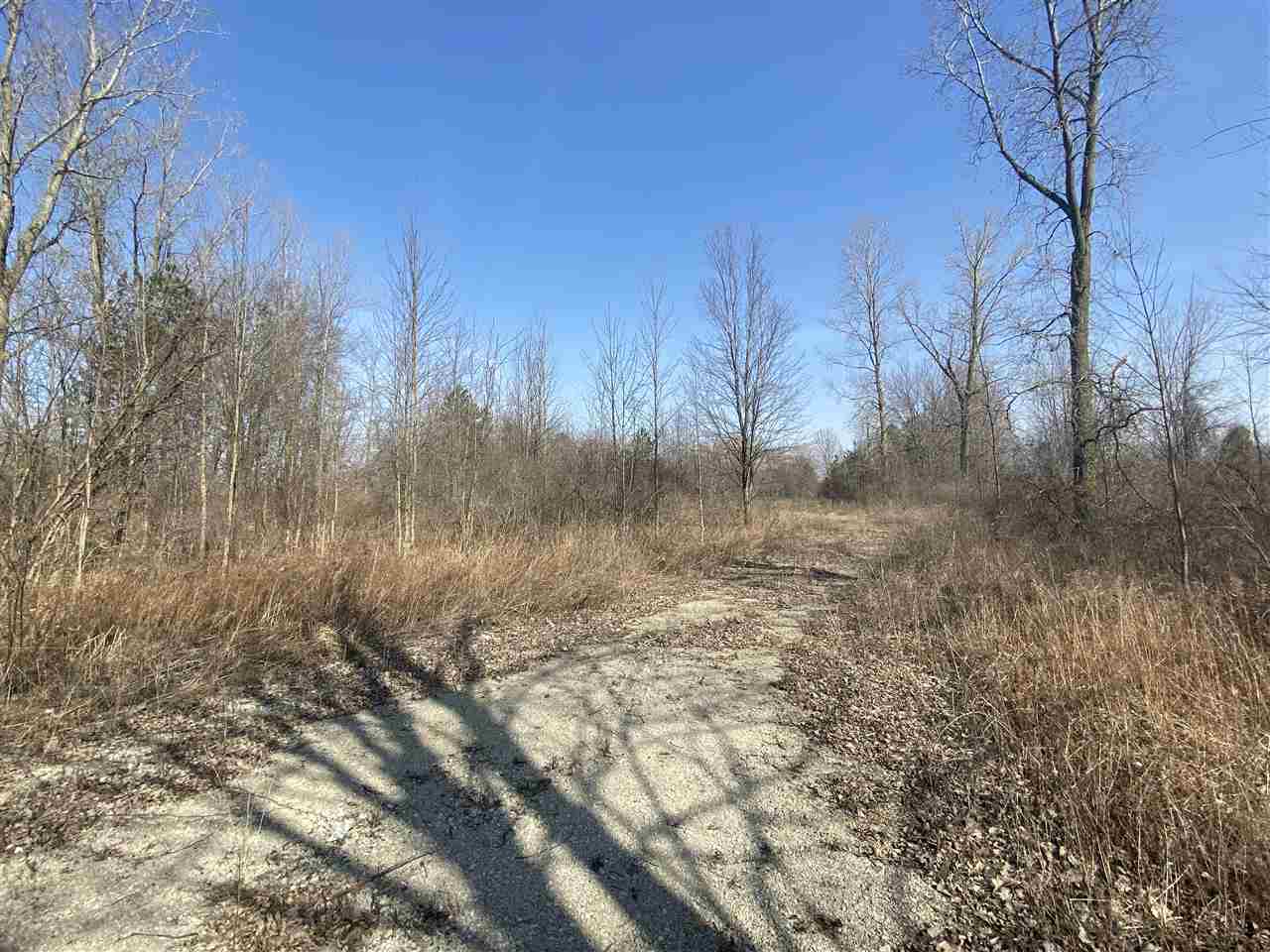 0 32 32 Mile Road Richmond, MI 48062 - Photo 6 of 10