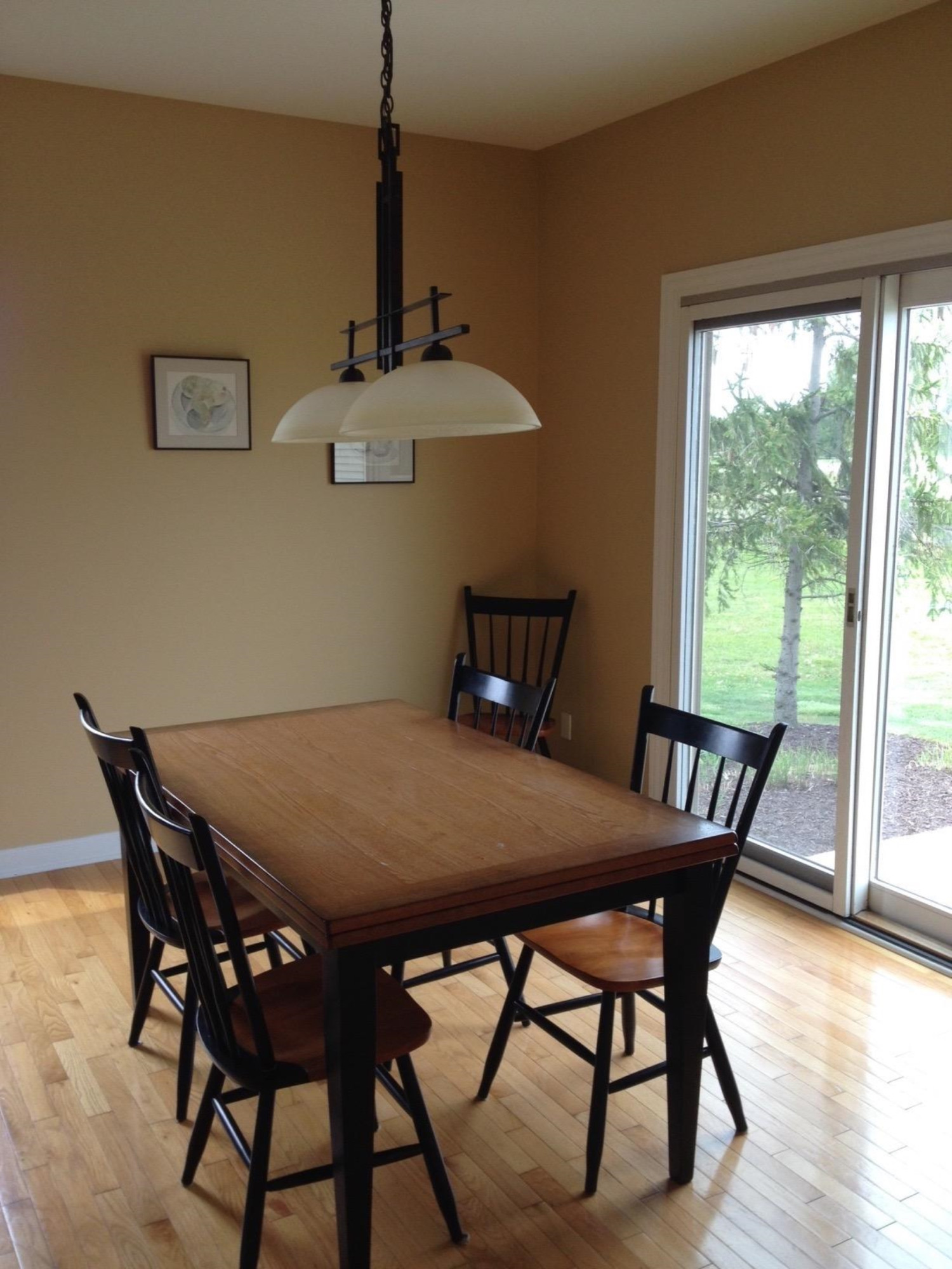 572 Ridge Point Drive Dundee, MI 48131 - Photo 9 of 10 Photo 9