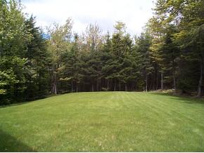 341 Washington Heights Road Washington, NH 03280 - Photo 3 of 9 Gallery Image 3