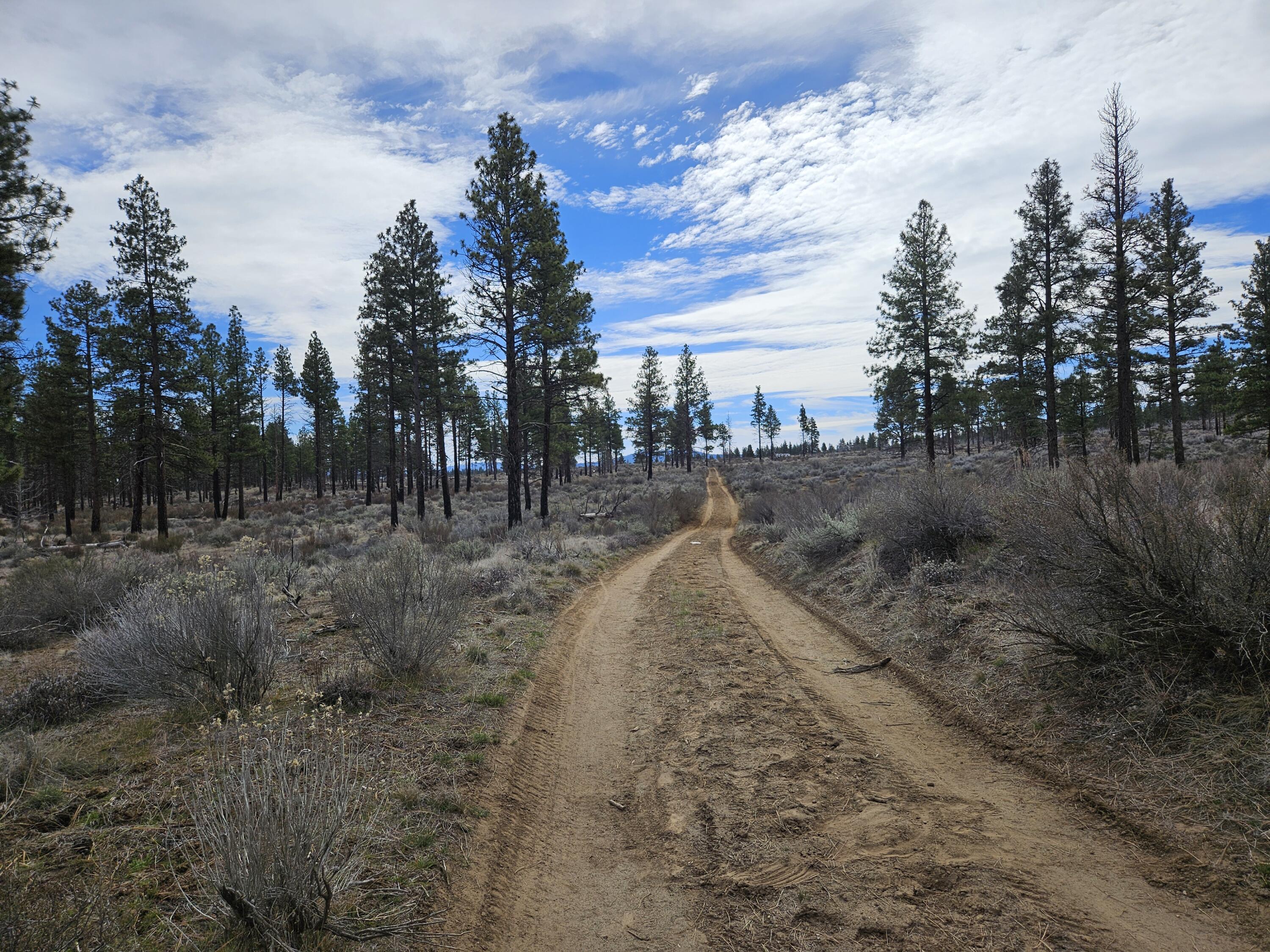 0 Canadian Honker Lane, Unit 9 Chiloquin, OR 97624 - Photo 3 of 11 20260313_123652