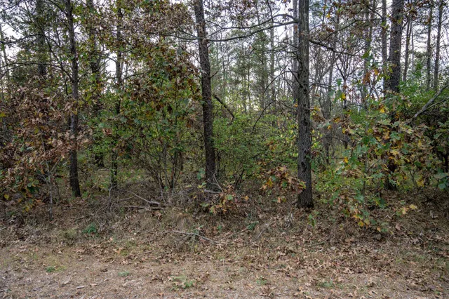 $30,000 | Lots 237-242 Woodland, New Lisbon, WI 53950