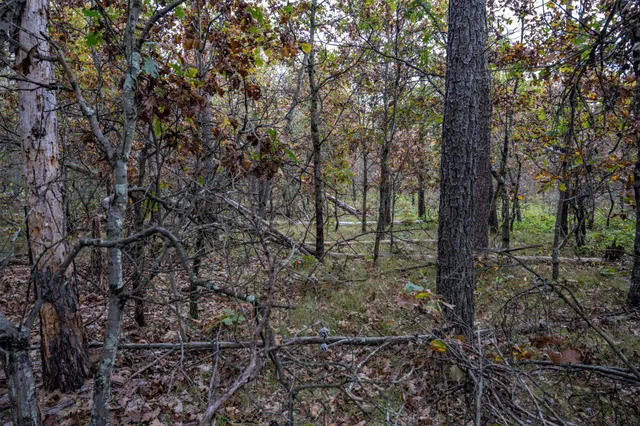 $30,000 | Lots 237-242 Woodland, New Lisbon, WI 53950