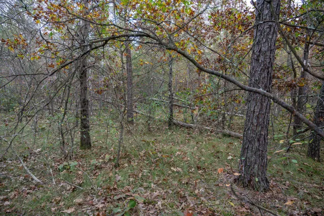 $30,000 | Lots 237-242 Woodland, New Lisbon, WI 53950