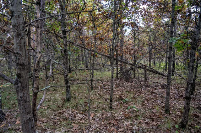 $30,000 | Lots 237-242 Woodland, New Lisbon, WI 53950