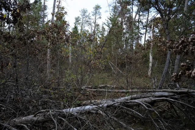 $30,000 | Lots 237-242 Woodland, New Lisbon, WI 53950