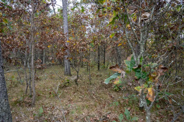 $30,000 | Lots 237-242 Woodland, New Lisbon, WI 53950