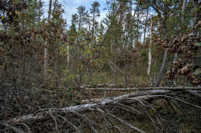 $30,000 | Lots 237-242 Woodland, New Lisbon, WI 53950