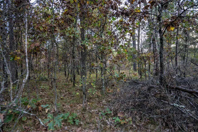 $30,000 | Lots 237-242 Woodland, New Lisbon, WI 53950