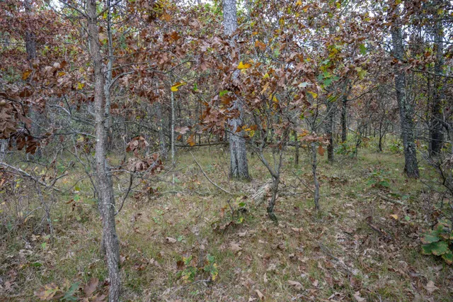 $30,000 | Lots 237-242 Woodland, New Lisbon, WI 53950