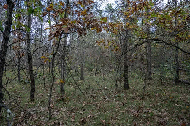 $30,000 | Lots 237-242 Woodland, New Lisbon, WI 53950