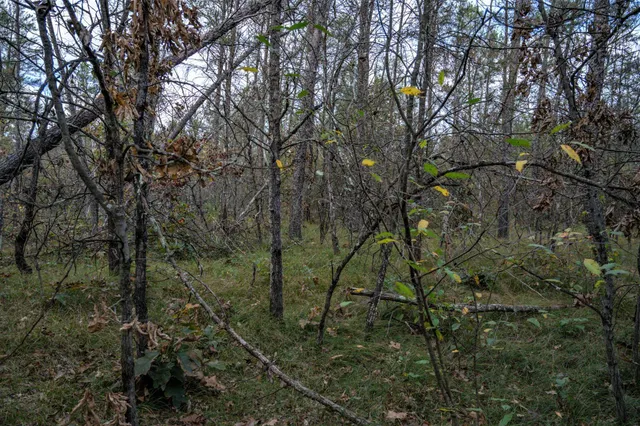 $30,000 | Lots 237-242 Woodland, New Lisbon, WI 53950