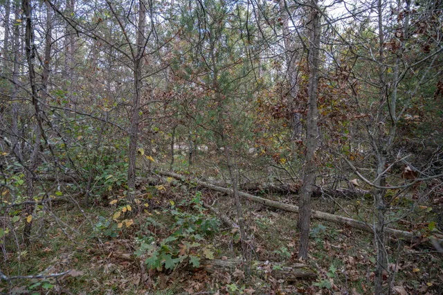 $30,000 | Lots 237-242 Woodland, New Lisbon, WI 53950