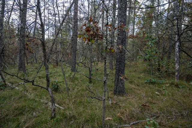 $30,000 | Lots 237-242 Woodland, New Lisbon, WI 53950