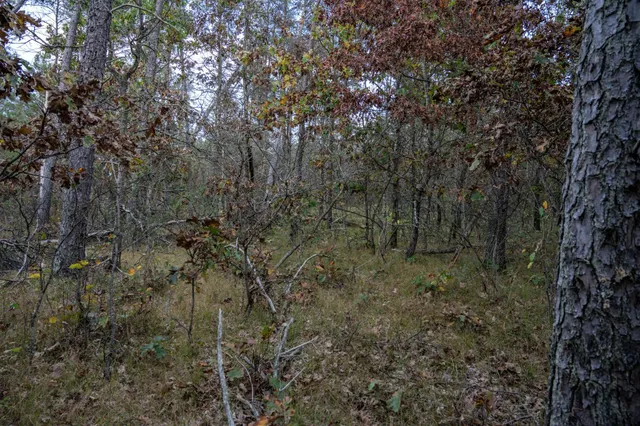 $30,000 | Lots 237-242 Woodland, New Lisbon, WI 53950