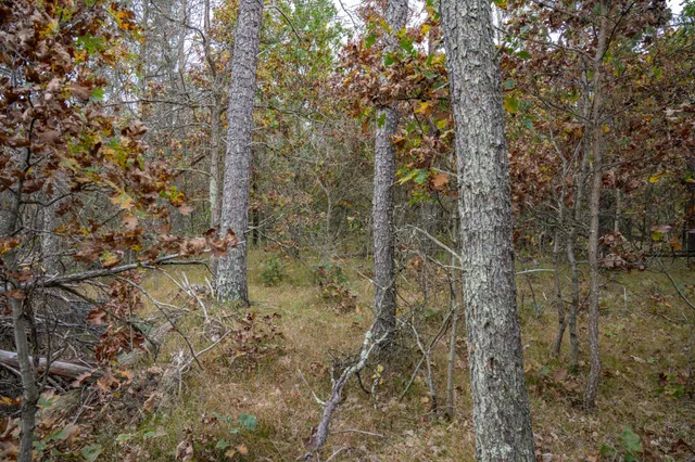 $30,000 | Lots 237-242 Woodland, New Lisbon, WI 53950