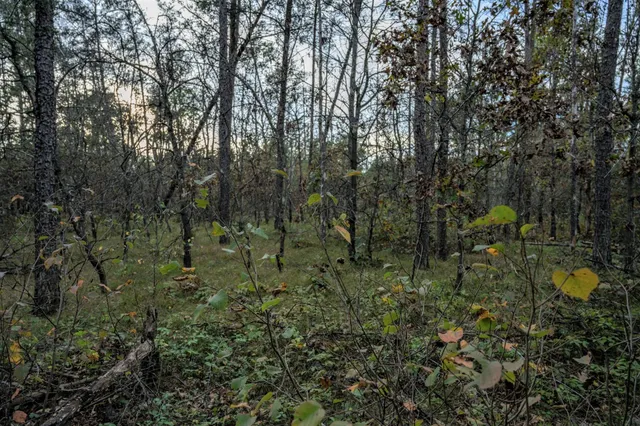 $30,000 | Lots 237-242 Woodland, New Lisbon, WI 53950