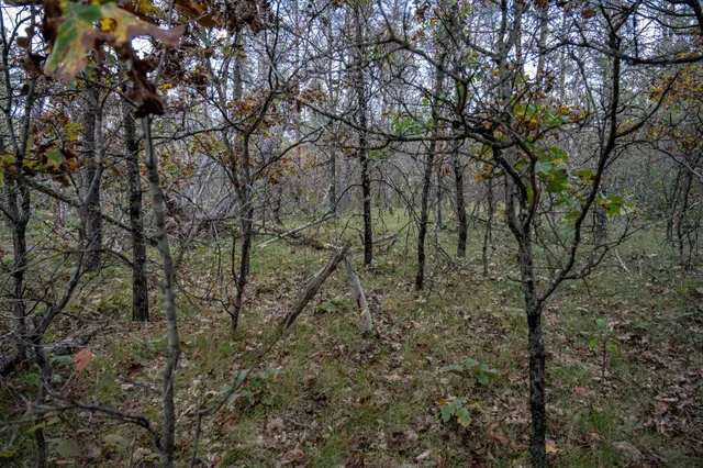 $30,000 | Lots 237-242 Woodland, New Lisbon, WI 53950