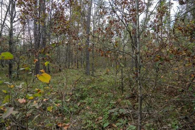 $30,000 | Lots 237-242 Woodland, New Lisbon, WI 53950