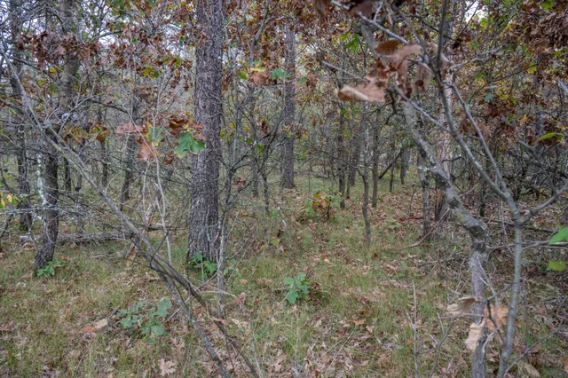 $30,000 | Lots 237-242 Woodland, New Lisbon, WI 53950