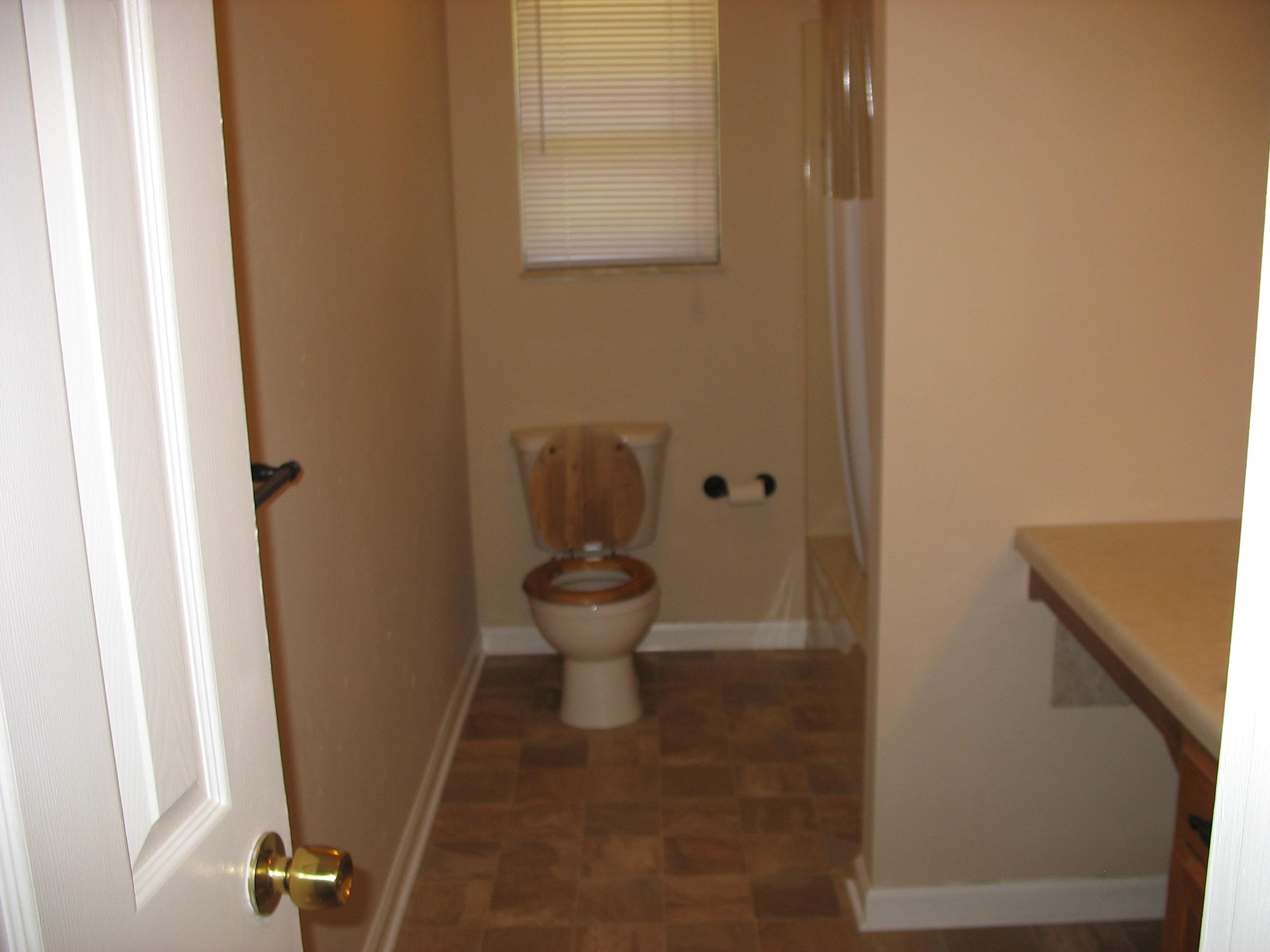145 Tannery Road Walland, TN 37886 - Photo 12 of 17 Bathroom