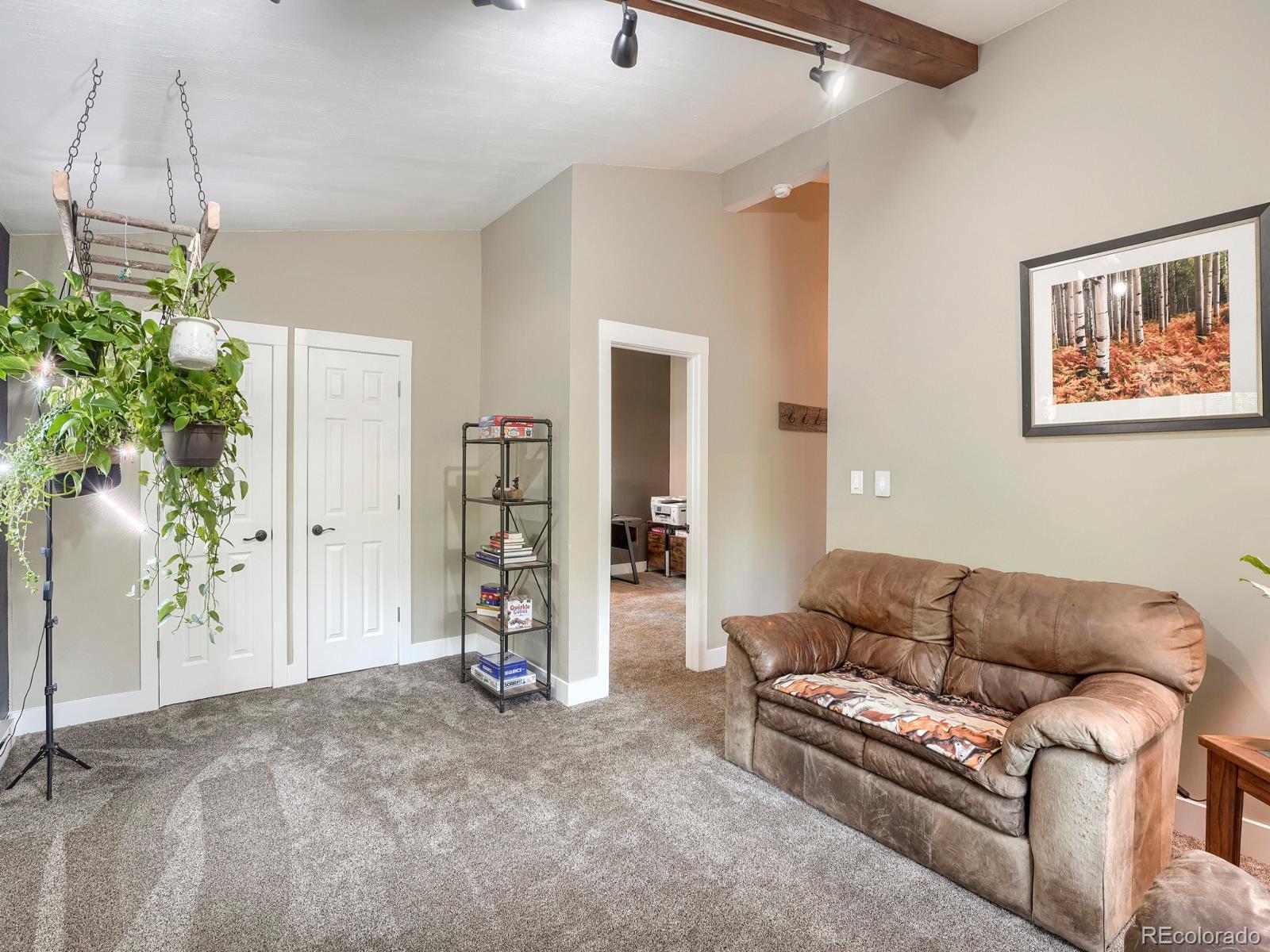 31289 Florence Road Conifer, CO 80433 - Photo 30 of 47