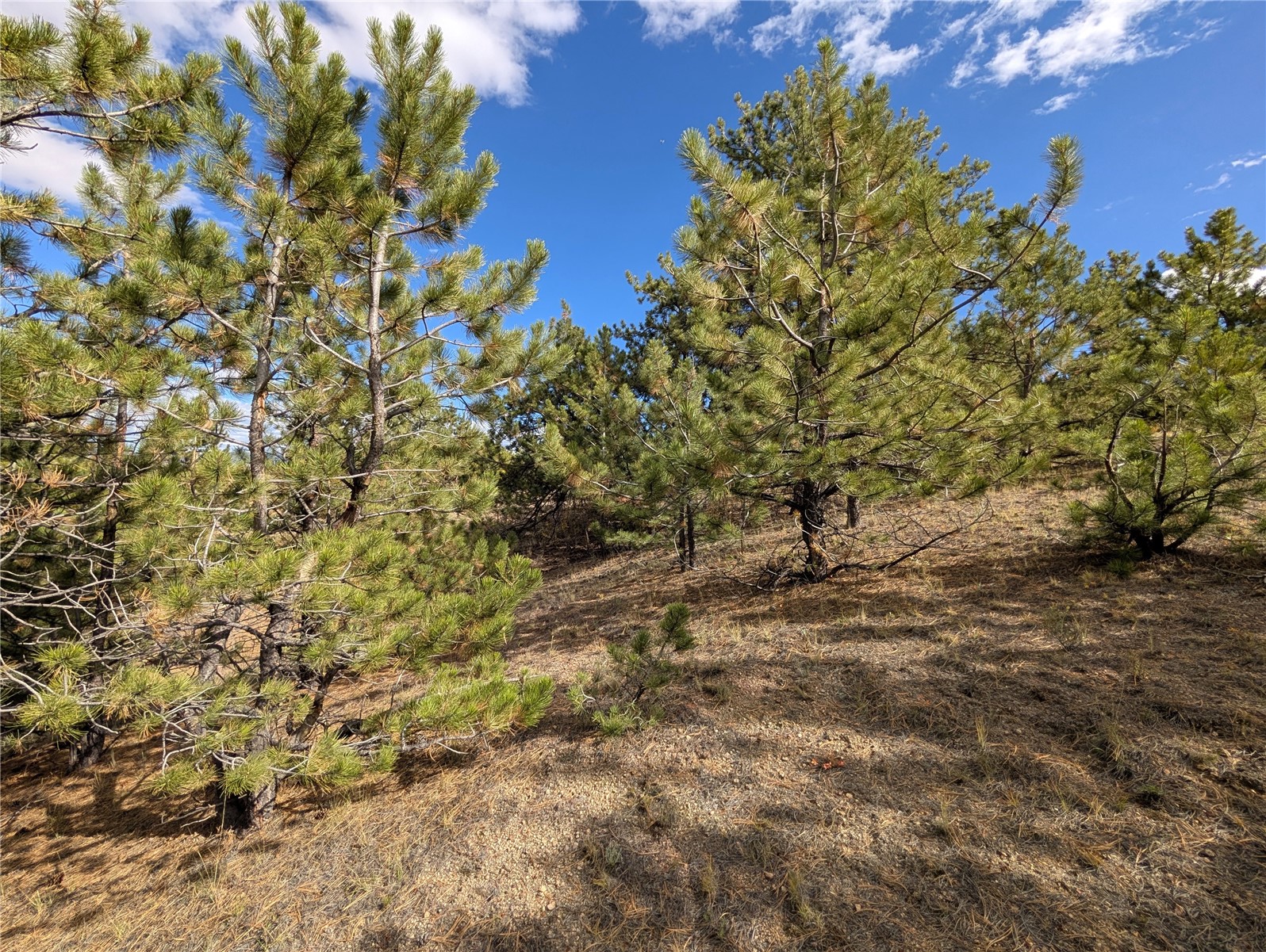 0 Tonkawa Road Hartsel, CO 80449 - Photo 14 of 16 Gallery Image 14