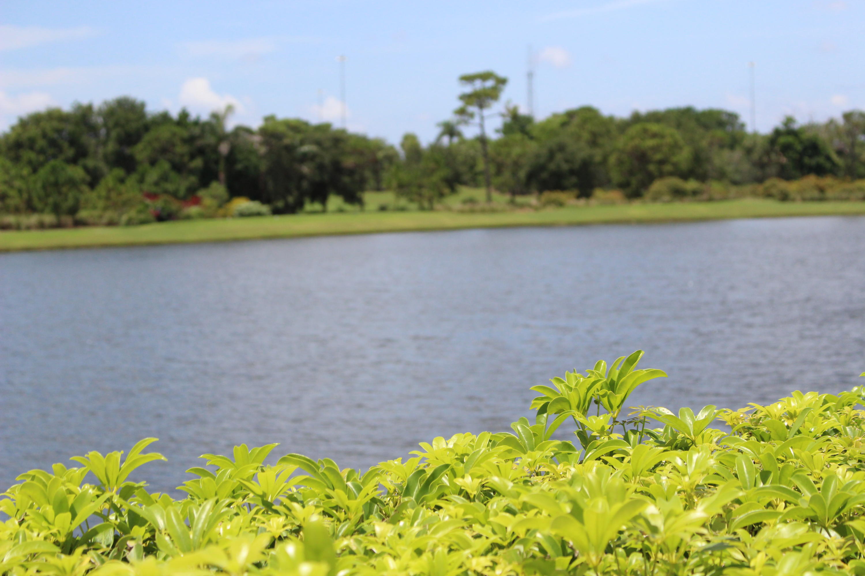 7768 Lakeside Boulevard, Unit 571 Boca Raton, FL 33434 - Photo 59 of 61 IMG_0641