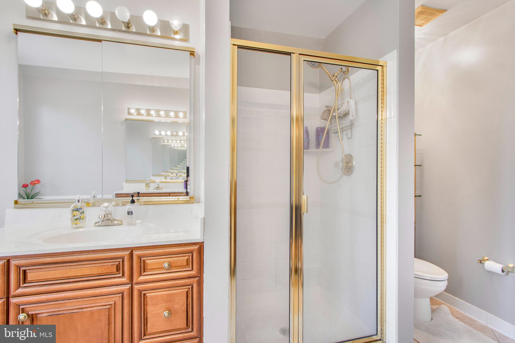 18319 Fable Drive Boyds, MD 20841 - Photo 27 of 47 Primary bathroom