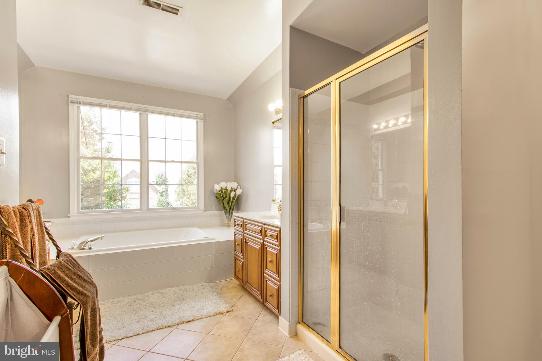 18319 Fable Drive Boyds, MD 20841 - Photo 28 of 47 Primary bathroom