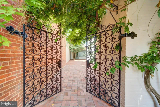 view of a potted plants next to a building