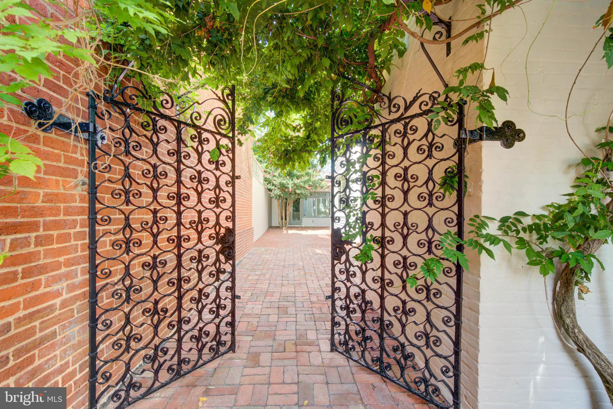 311 5th Street Southeast Washington, DC 20003 - Photo 2 of 21 view of a potted plants next to a building