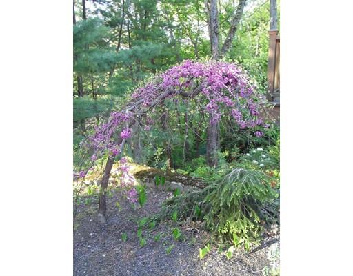 27 Samoset Road Winchester, MA 01890 - Photo 25 of 29 Gallery Image 25