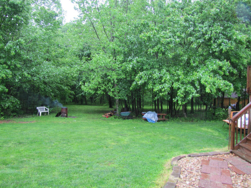 795 Peters Pike Road Wirtz, VA 24184 - Photo 8 of 20 Back Yard
