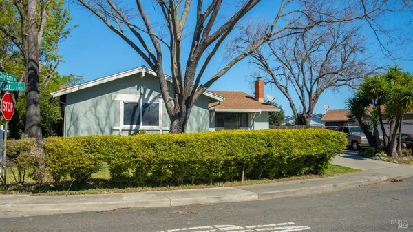 a dining room with furniture potted plants and wooden floor
