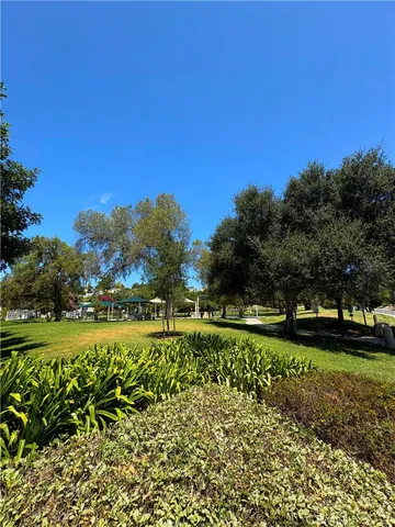 a view of a big yard with a large tree