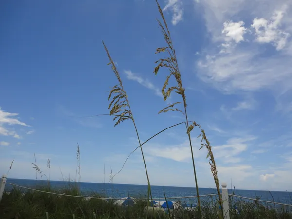 $2,500 | 1440 Lexington Square Southwest, Vero Beach, FL 32962