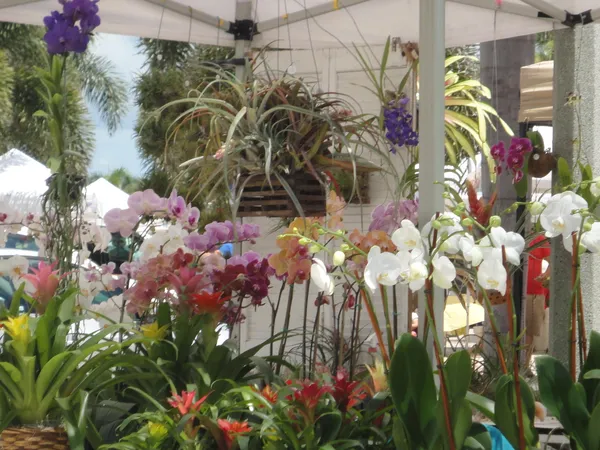 $2,500 | 1440 Lexington Square Southwest, Vero Beach, FL 32962