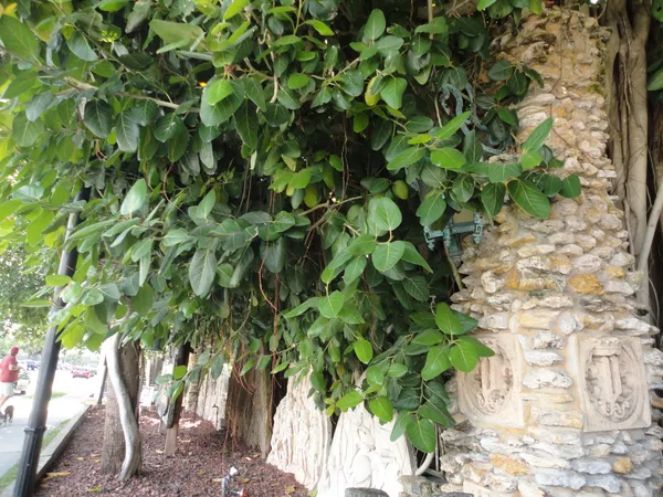 $2,500 | 1440 Lexington Square Southwest, Vero Beach, FL 32962