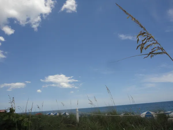 $2,500 | 1440 Lexington Square Southwest, Vero Beach, FL 32962